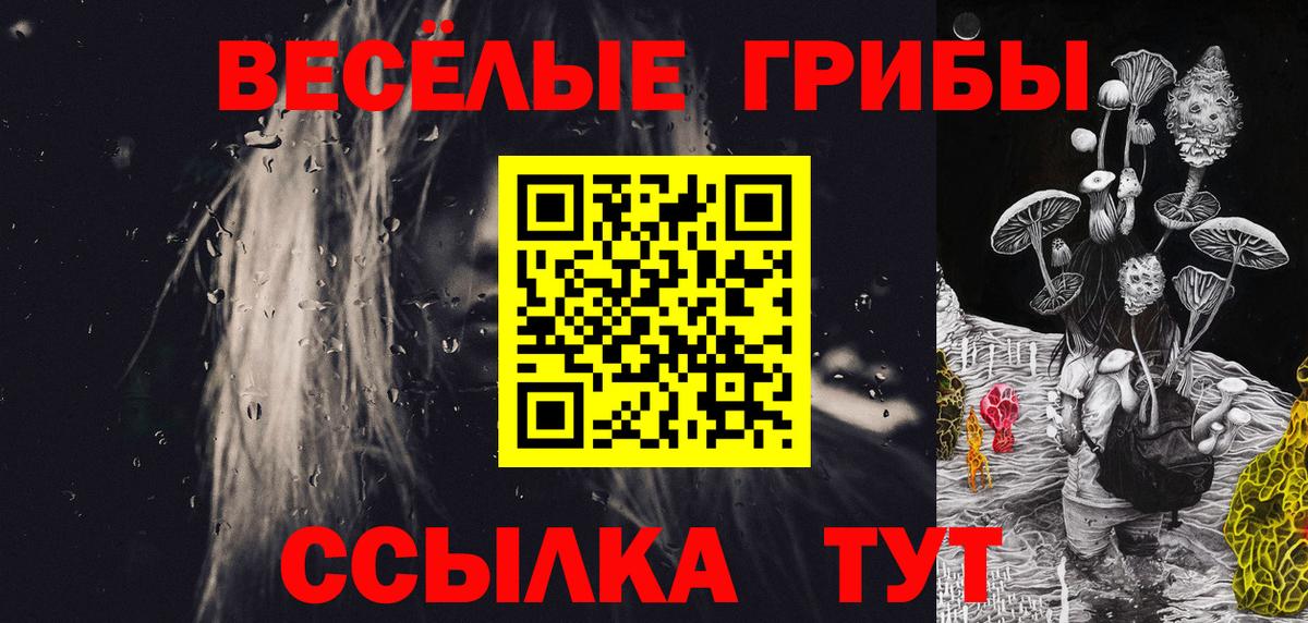 Псилоцибиновые грибы мухоморы  Вход с VPN  купить наркотики цена  Гуково 